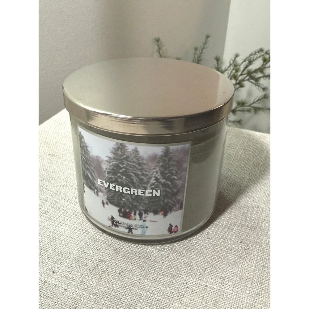 Slatkin & Co Evergreen Scented Candle Fir Needle White Birch‎ Winter Glass Jar